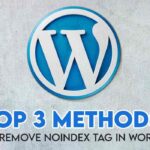 Top 3 Methods: How to remove noindex tag in wordpress?