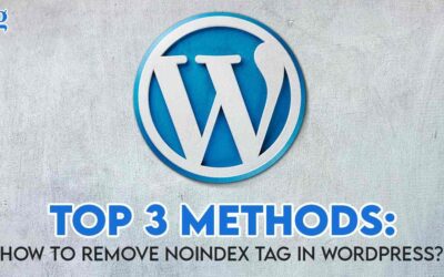 Top 3 Methods: How to remove noindex tag in wordpress?